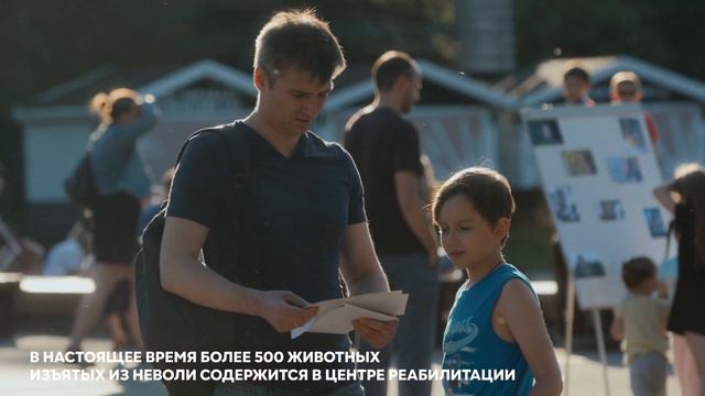 Часто радость людей  это страдания животных живыенеигрушки