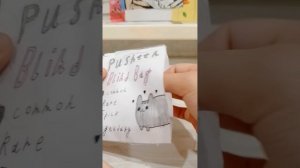 распаковка Pusheen Blind Bag