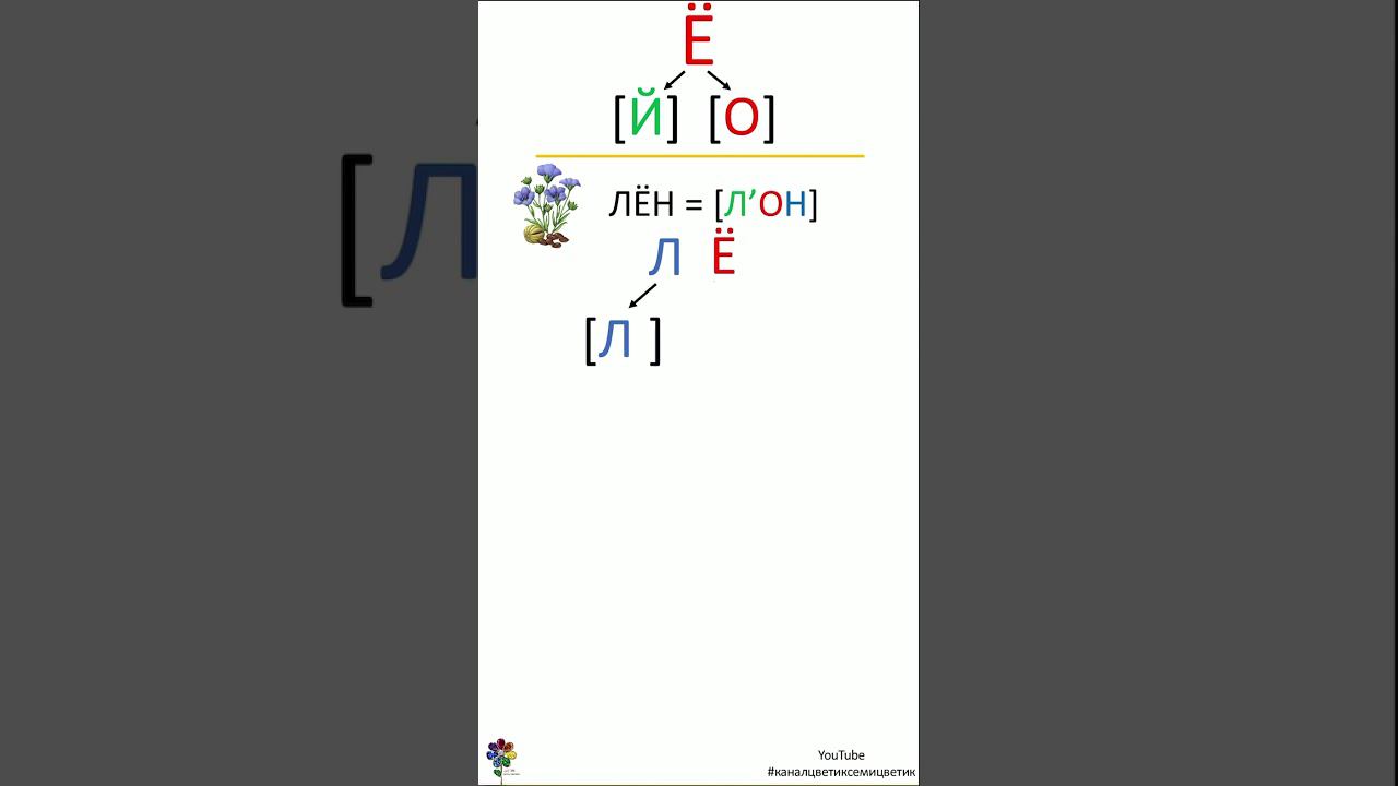 Звуковой анализ: Буква Ё, звуки Й и О. Ё в начале слова, после гласной, после Ь и согласной #shorts смотреть онлайн