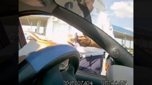 Кущевский пост. Цукерова балка. Подозрение в подлинности документов