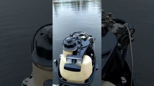 Лодочный мотор Suzuki DF 6 L  (Длинная нога)