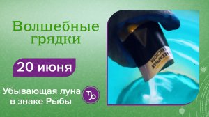 Волшебные грядки, 20 июня. Убывающая луна в знаке Рыбы