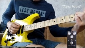 Аркадий Стародуб и звукосниматели SUHR