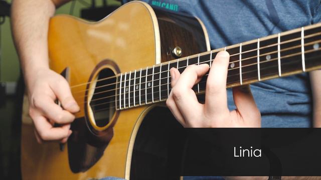 Prodipe Natural6 - combo do gitary elektroakustycznej i nie tylko! смотреть онлайн