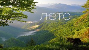 Летний лес на хребте Азиш-Тау в Адыгее / 1 минута. Azish-Tau ridge / 1 minute / Original sound.