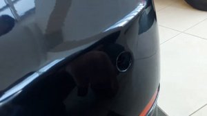 Подбор авто БМВ 5 - ST-car Нижний Новгород