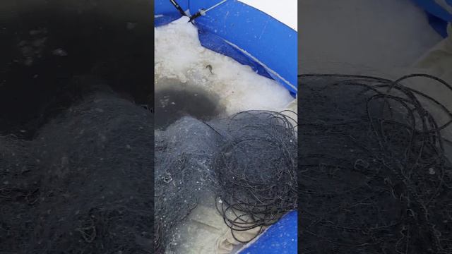 Рыболовные сети под лёд! смотреть онлайн