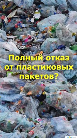 К чему привел запрет полиэтиленовых пакетов?