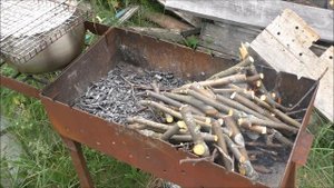 Шашлык из курицы. Как замариновать, как приготовить, чтобы было вкусно