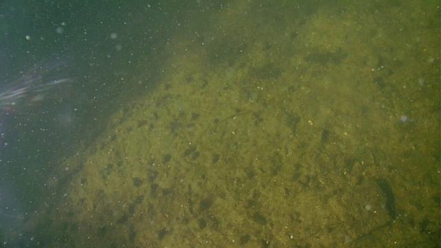 Тест креплений для подводной съемки