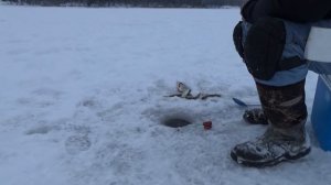 Самоклёв: просто и результативно. "All-in Fishing". Вып.16.