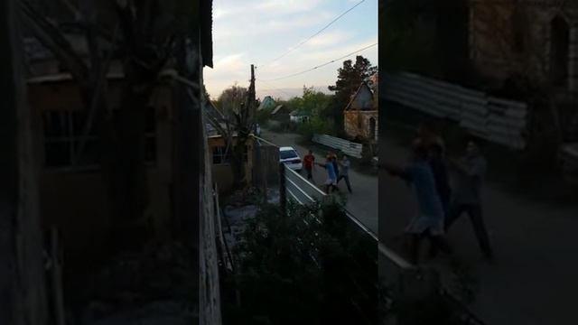 Сломали дерево