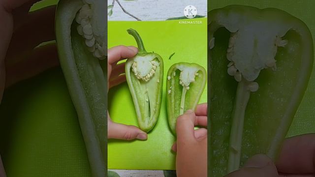 Пробуем выросший перец 🌶