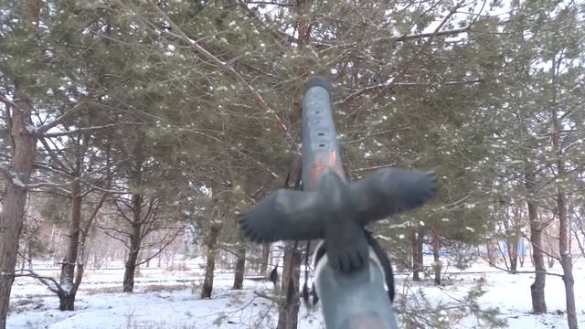 Native American Flute "Black Guest" / Индейская флейта "Черный гость"