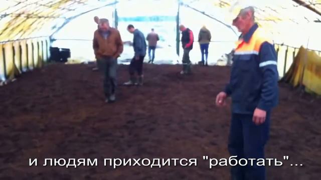 Борьба с безработицей по-белорусски. смотреть онлайн