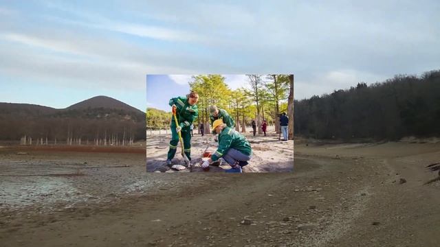 Кипарисовое озеро в Сукко, как чувствуют себя уникальные деревья без воды? смотреть онлайн