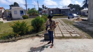 Joyo JF-12 Voodoo Octave ($50 Octave Fuzz)