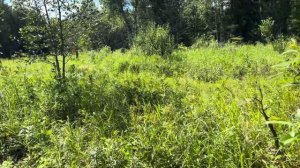 Рыбалка на хариуса на горной речке. Добираемся на квадроцикле CF Moto 400.