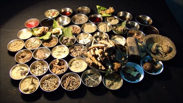 Pankaj Oudhia on Anaplastic Thyroid Carcinoma: Prefer Heracleum candicans смотреть онлайн