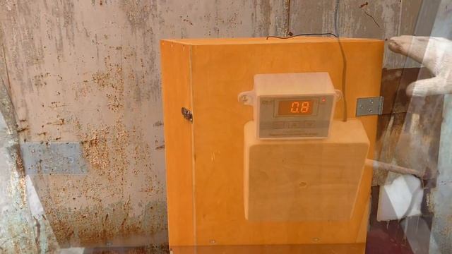 Коптильня Горячего Холодного Копчения. Бюджетный вариант!!! смотреть онлайн