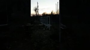 Теплица своими руками из пластиковых рам.
