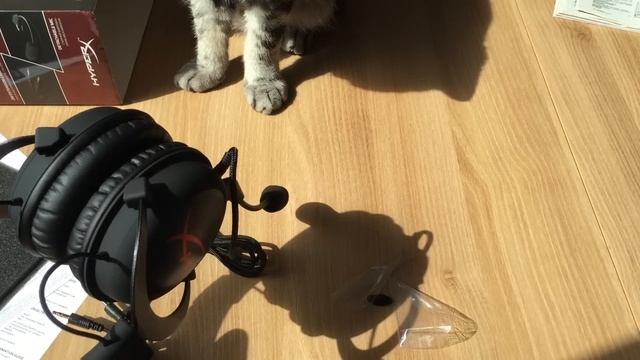 HyperX Cloud Core обзор тестирование и рекомендации по настройке геймерской гарнитуры