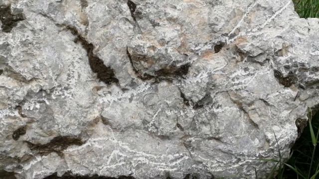 Древний камень, наскальная живопись и прыжок в состояние свобода