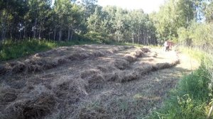 Сенокос 2018 Сгребание сена под китайский мини пресс