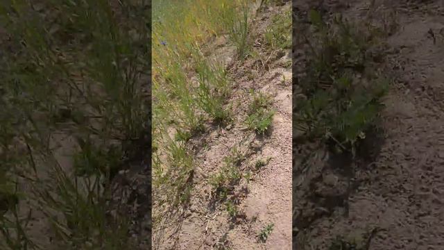 17 июля 2023 г. смотреть онлайн