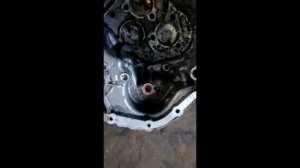 Ford Focus 2014 no da reversa transmission powershift.  Códigos P2837  P287B