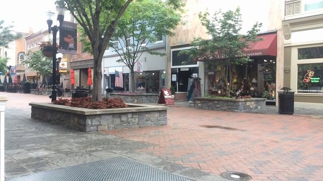 Java | 1.5 yr old Aussie | Before & After смотреть онлайн