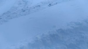 Делаем снегозадержание на полях!