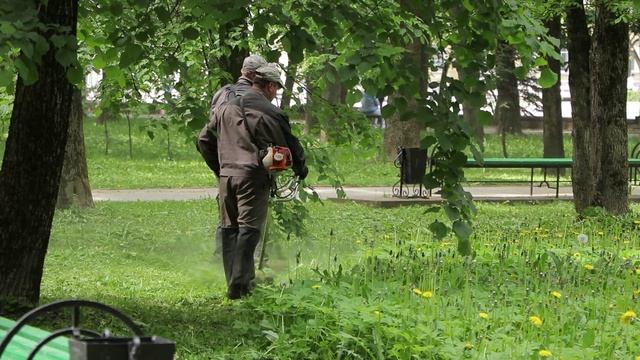 «Зеленстрой» проводит работы по уборке города