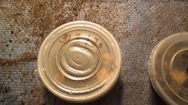 Сколько проживёт червь. 2 часть. смотреть онлайн