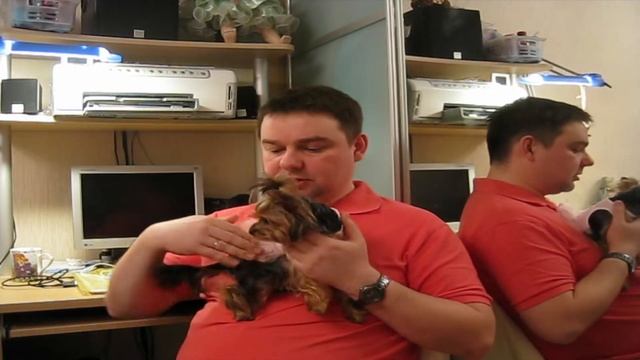 Переход Границы Беларусь-Польша на Авто с Собакой смотреть онлайн