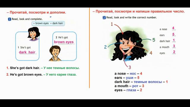 ГДЗ ПО АНГЛИЙСКОМУ К РАБОЧЕЙ ТЕТРАДИ 2 КЛАСС СТРАНИЦА.46 смотреть онлайн