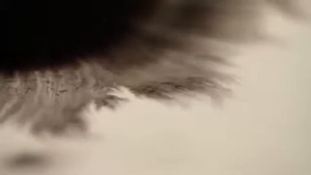 Рисунок тушью на воде Indian ink in water смотреть онлайн