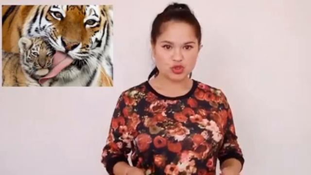 Тематический видеоролик «Животные красной книги» смотреть онлайн