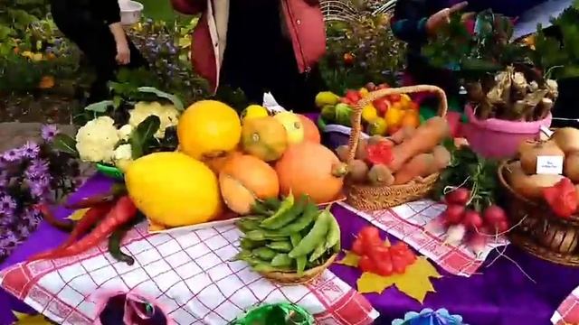 День урожая 2020 смотреть онлайн