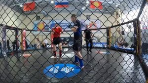 Московское областное соревнование по смешанному боевому единоборству ММА. Серпухов 25.11.2023