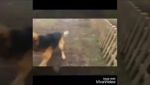 ДНБ 2017, ДЕМБЕЛЬ вернулся домой)