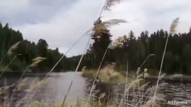 Гроза в мае. смотреть онлайн