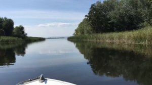 Прогресс-4 и Ямаха 40