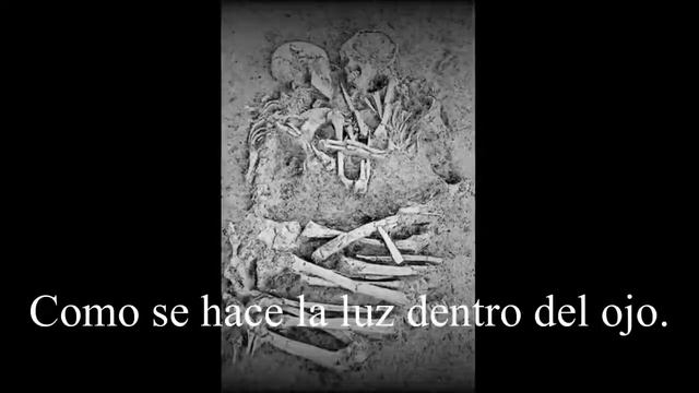 JAIME SABINES, YO NO LO SÉ DE CIERTO смотреть онлайн