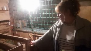 кормление коз))
любимые козы))