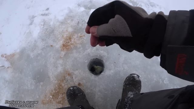 КРУПНЯК РВЁТ ЛЕСКУ. ПРОЩАЙ МОРМЫШКА. Рыбалка на Истре.