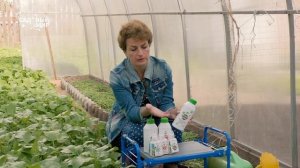 Обработка почвы осенью – делаем правильно