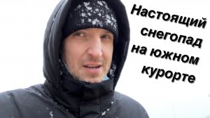 VLOG Как черепаха из мультика / Геленджик накрыло снегом / Настоящая зима