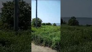 вот так умирают поселки. Нижнее Пронге