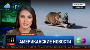 CSBSVNNQ Американские новости — выпуск #1177 от 10.01.2024